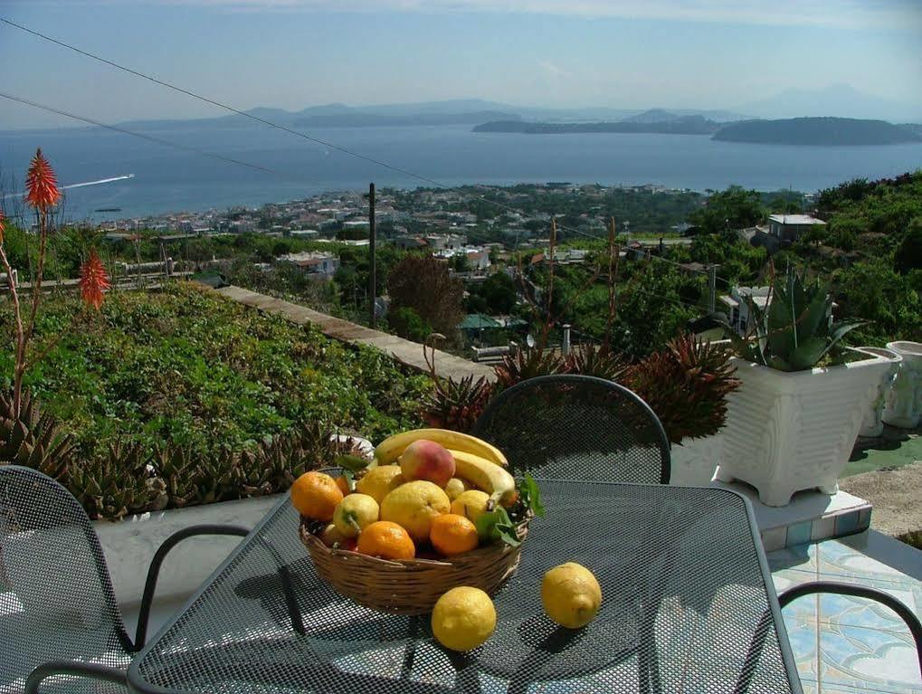 Villa Rosalia Ischia Exterior photo